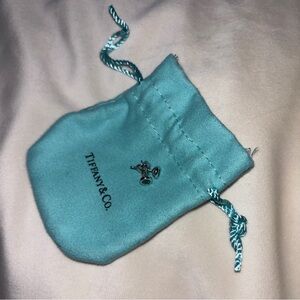 Tiffany & Co. Sterling Silver Elsa Peretti Color By The Yard Earrings